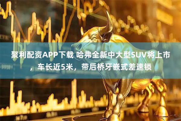 聚利配资APP下载 哈弗全新中大型SUV将上市，车长近5米，带后桥牙嵌式差速锁